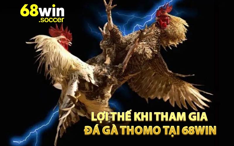 Lợi Thế Khi Tham Gia Đá Gà Thomo Tại 68WIN